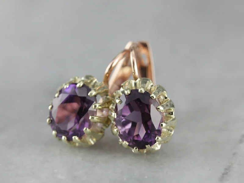 Ladies earrings timeless looks-Amethyst Two Tone Gold Drop Earrings