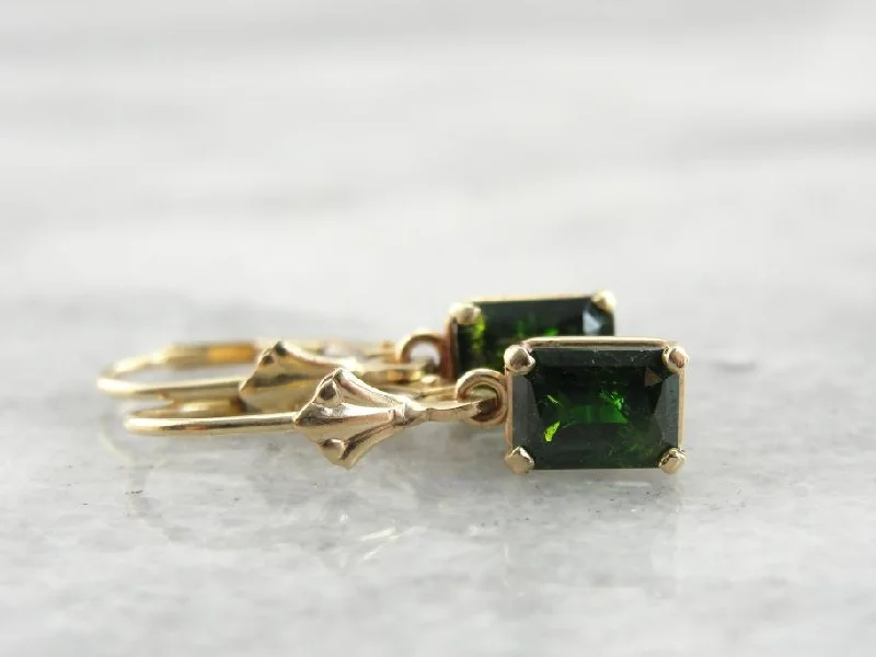 Ladies earrings European flair-Collector's Quality Demantoid Garnet Drop Earrings