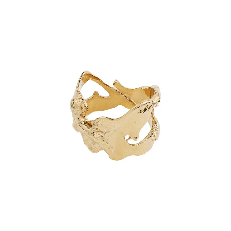 Ladies rings online shopping-Compass Gold Plated Ring