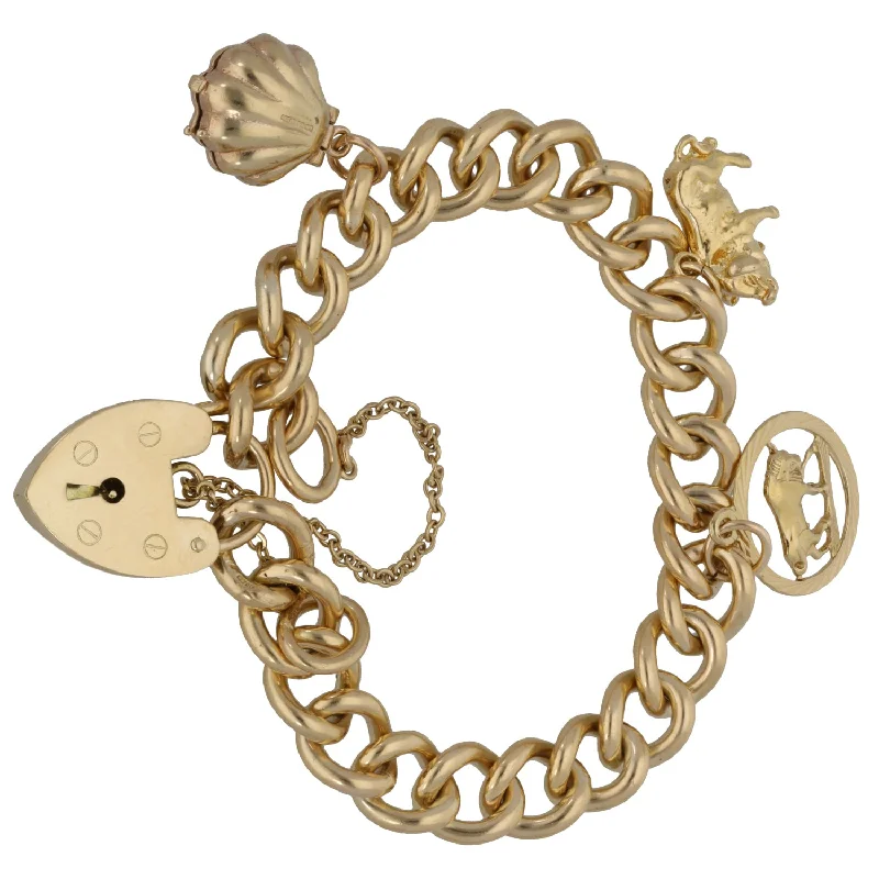 Ladies bracelets diamond accents-9ct Gold Charm Bracelet